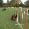 agility 2011-10-30